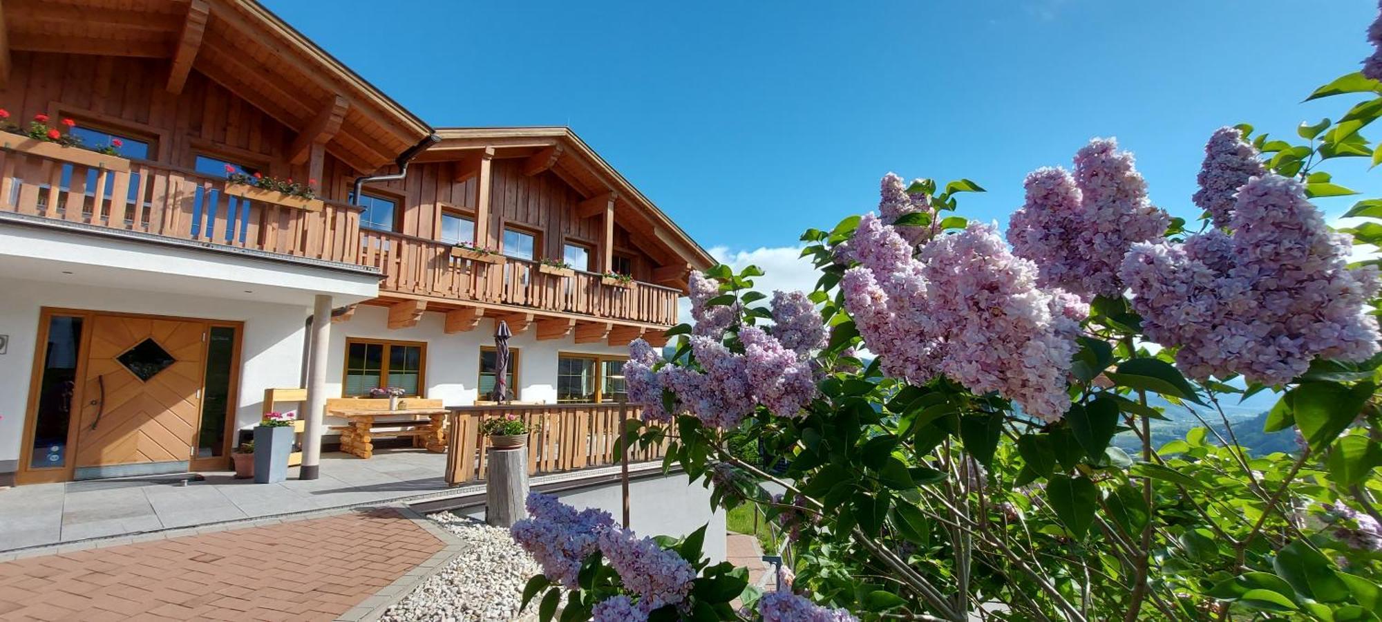 La Montana - Ski & Hiking Lodge Schladming Ngoại thất bức ảnh
